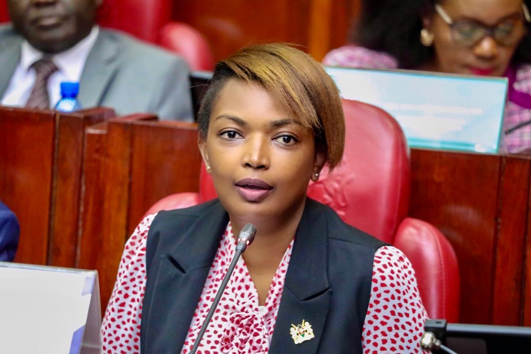 UDA Disciplinary Committee Gives Karen Nyamu More Time To Respond To Dubai Drama