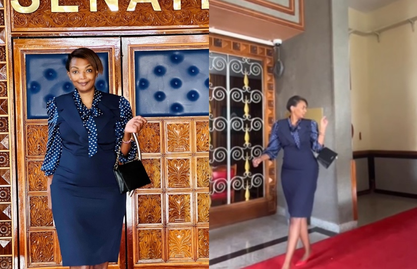 Karen Nyamu Catwalks Out Of Senate Chambers After Being Ejected For Dressing Indecently (Video)