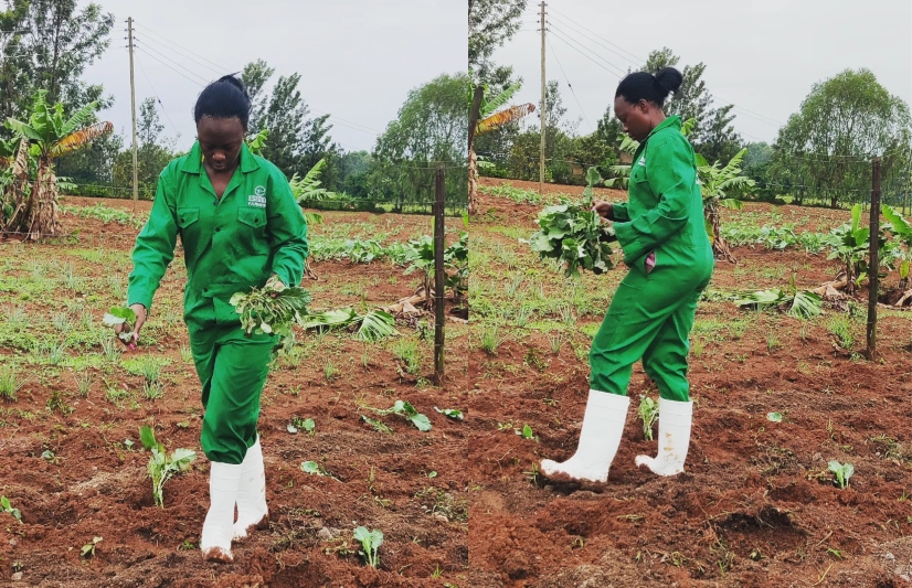 Alafu Munalia Ati You're Broke? Akothee With All Her Millions Wakes Up Every Morning To Work On Her Farm 